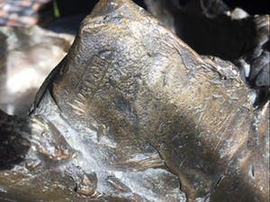 Kees Verkade - kapitale buste van Willem Steijn kopen? Bied vanaf 4750!