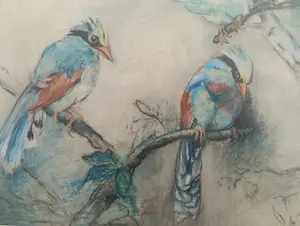 Johanna Pieneman - Drie (jacht) Eksters kopen? Bied vanaf 95!