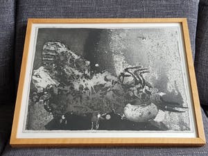 Jan Prins - Ets - Gesigneerd 1985 kopen? Bied vanaf 20!