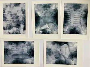 Buy Peer Veneman - set van vijf verschillende gesigneerde bladen 'Four Seasons'? Bid from 95!