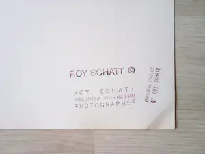 Roy Schatt - "Marilyn Monroe" 1955 - handsigniert kopen? Bied vanaf 2800!