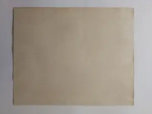 Jan van Riel - Hond. 'Polly'. 1951 kopen? Bied vanaf 69!