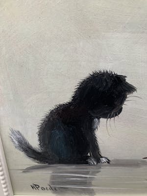 Henk Poeder - Kitten en muisjes kopen? Bied vanaf 80!