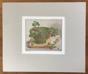 Dirk van Gelder - Gesigneerde print - 1977 - oplage: 5/250 kopen? Bied vanaf 55!