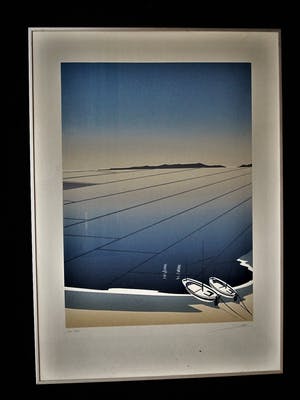 Niet of onleesbaar gesigneerd - Fraaie gestileerde Lithografie - fraai ingelijst - gesigneerd kopen? Bied vanaf 10!