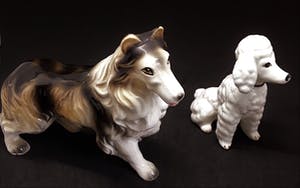 Curiosa - 2 Antieke porseleinen hondjes kopen? Bied vanaf 1!