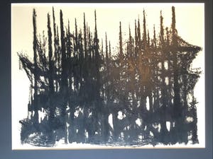 Wim Burger - Tegenlicht kopen? Bied vanaf 30!