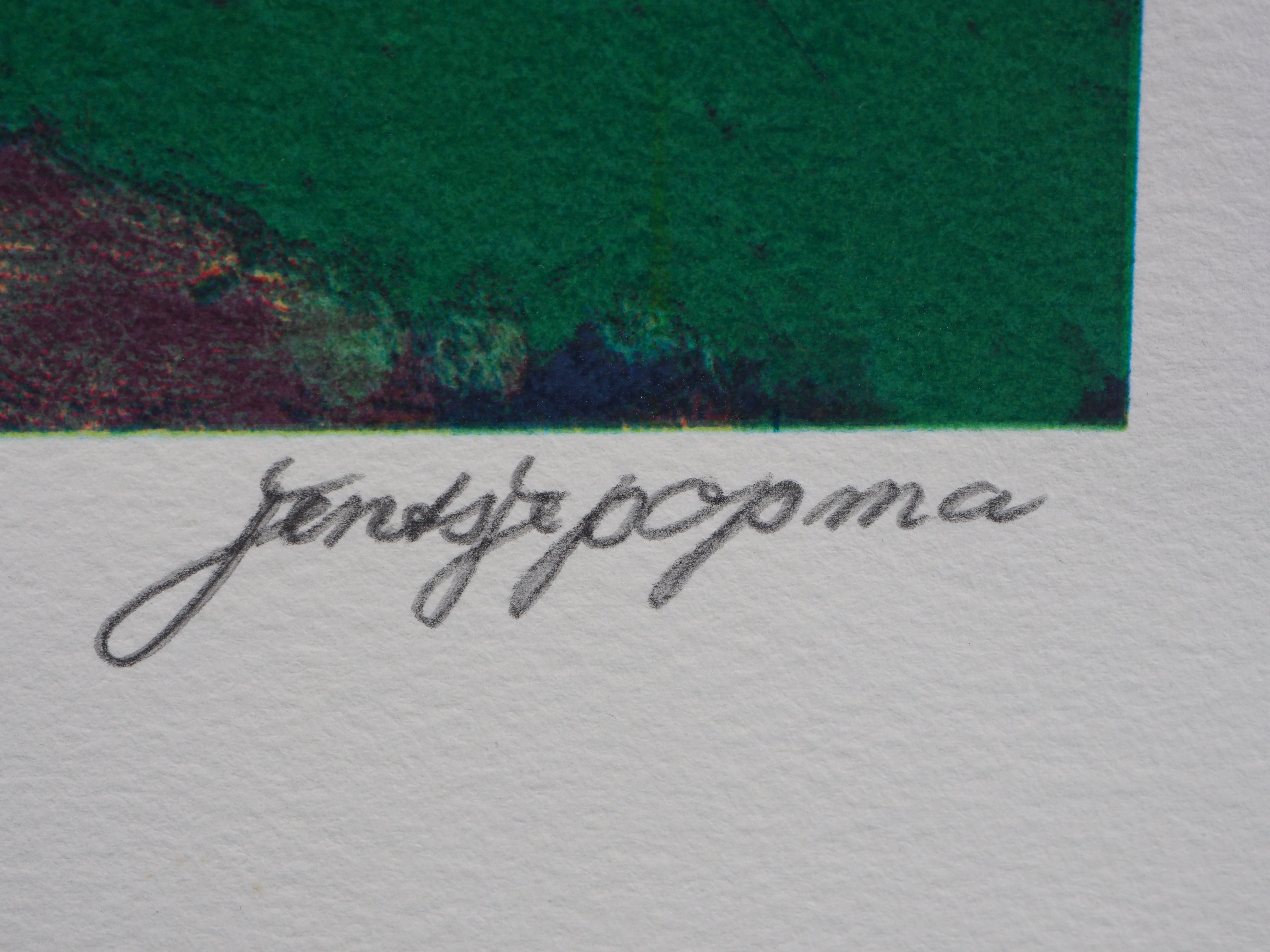 Jentsje Popma - Koolzaadveld met fluitekruid kopen? Bied vanaf 70!