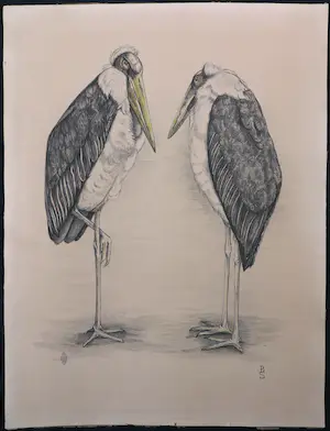 Berend Sluyterman - Litho, Twee Maraboes kopen? Bied vanaf 30!