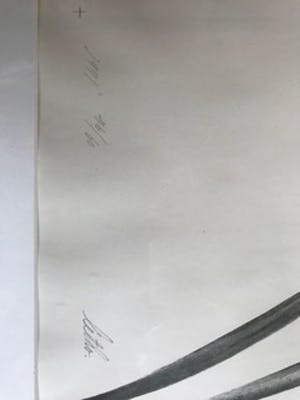 Hisako Viruly Abe - Plants en butterflies kopen? Bied vanaf 30!