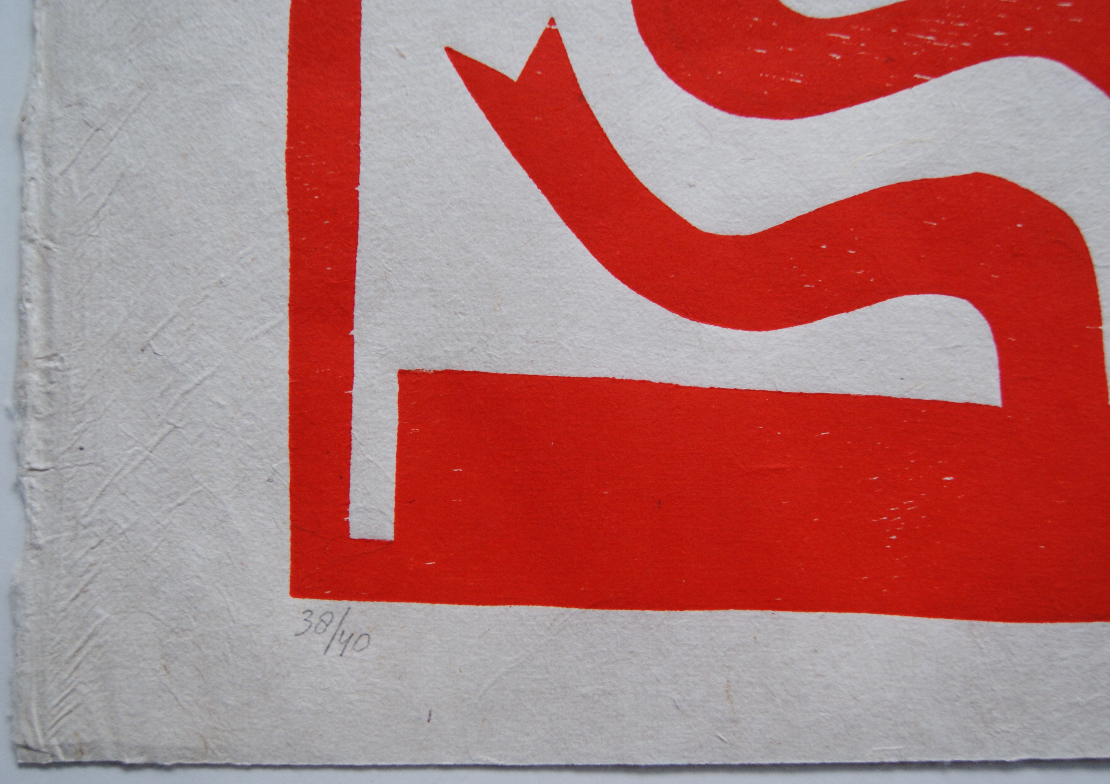 Klaas Gubbels - houtdruk 'Gespiegeld' - 2013 - oplage 40 ex. kopen? Bied vanaf 295!