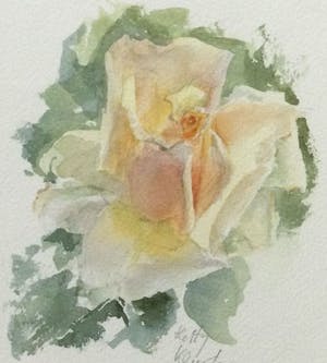 Hetty Kluytmans - Roos | prachtige aquarel, mooi ingelijst kopen? Bied vanaf 35!