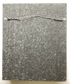 Hester Schroor - Libelle kopen? Bied vanaf 325!