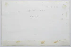 Peter Heij - Sawah (Gemengde techniek) kopen? Bied vanaf 85!