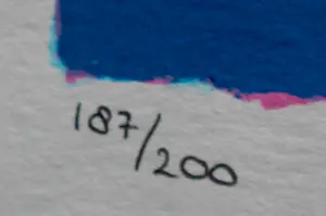 Selwyn Senatori - Zeefdruk: l'antipasta kopen? Bied vanaf 125!