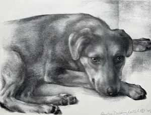 Aart van Dobbenburgh - handgesigneerde litho | 'Rustende hond' | 1969 kaufen? Bieten Sie von 50!