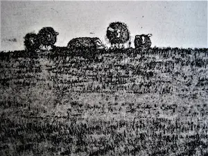 Niet of onleesbaar gesigneerd - Mooie minimalistische ETS "Dijk met schapen" kleine oplage (10) - gesigneerd kopen? Bied vanaf 1!