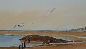 Franklin Meijer - Terschelling - Haven West kopen? Bied vanaf 45!