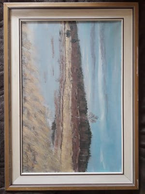 Niet of onleesbaar gesigneerd - Heidelandschap, gesigneerd. kopen? Bied vanaf 10!