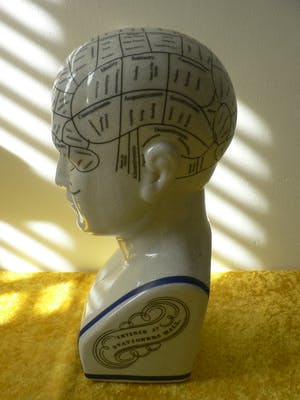 Curiosa - Phrenology head by L.N.Fowler kopen? Bied vanaf 50!