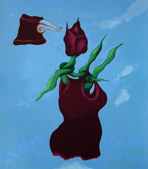 Patty Harpenau - Shaping kopen? Bied vanaf 35!