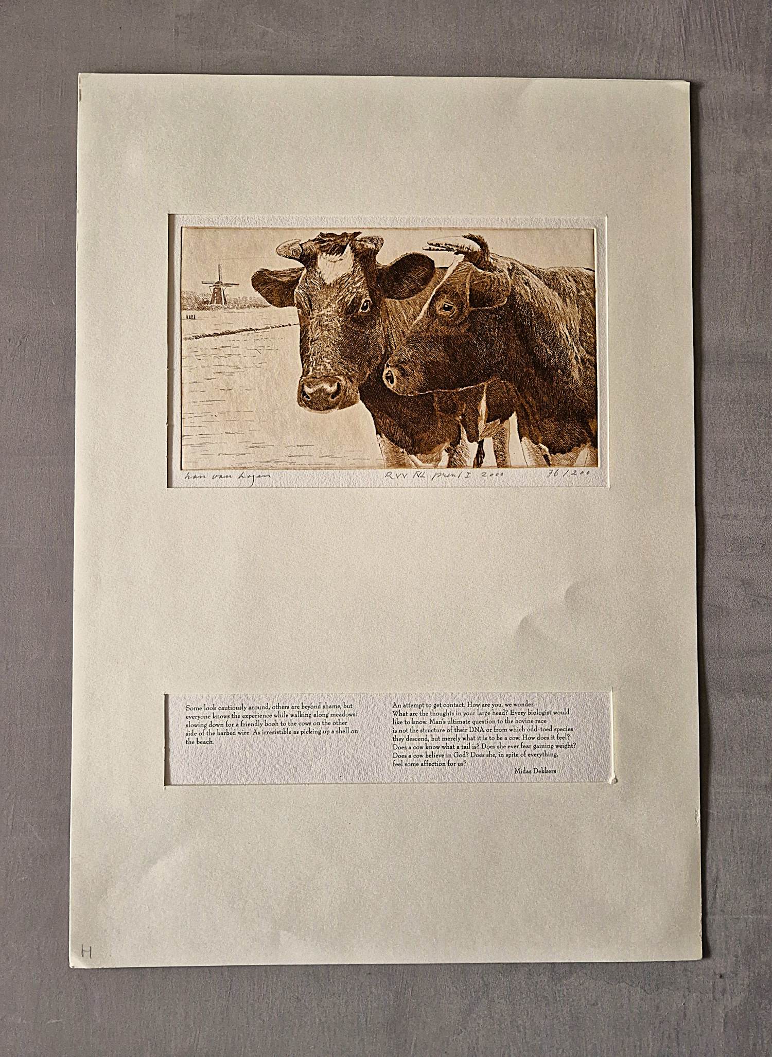 Buy Han van Hagen - Erg mooi uitgewerkte Ets "2 koeien" oplage 200 - met tekst midas Dekkers? Bid from 68!