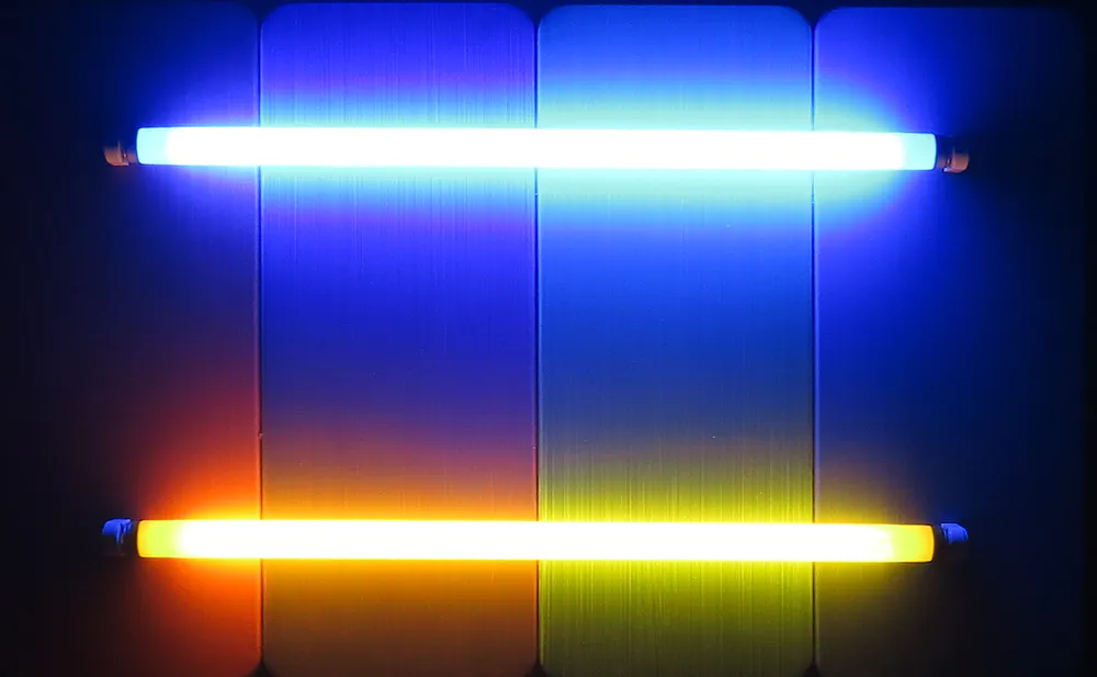 Herman Kuijer (1953)