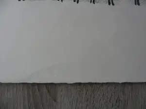 Henri de Haas - Litho, Vrouw met hond V. kopen? Bied vanaf 20!