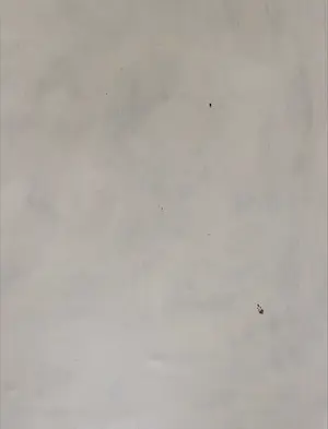 Frans Vierling - Acryl op doek, Kleurkwadraat (Zeer Groot) kopen? Bied vanaf 150!