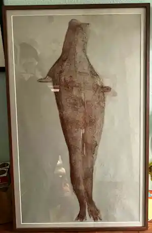Joseph Beuys - Zeldzame Grote lithografie "Robbe", 11/100 provenance Christie's kaufen? Bieten Sie von 2199!