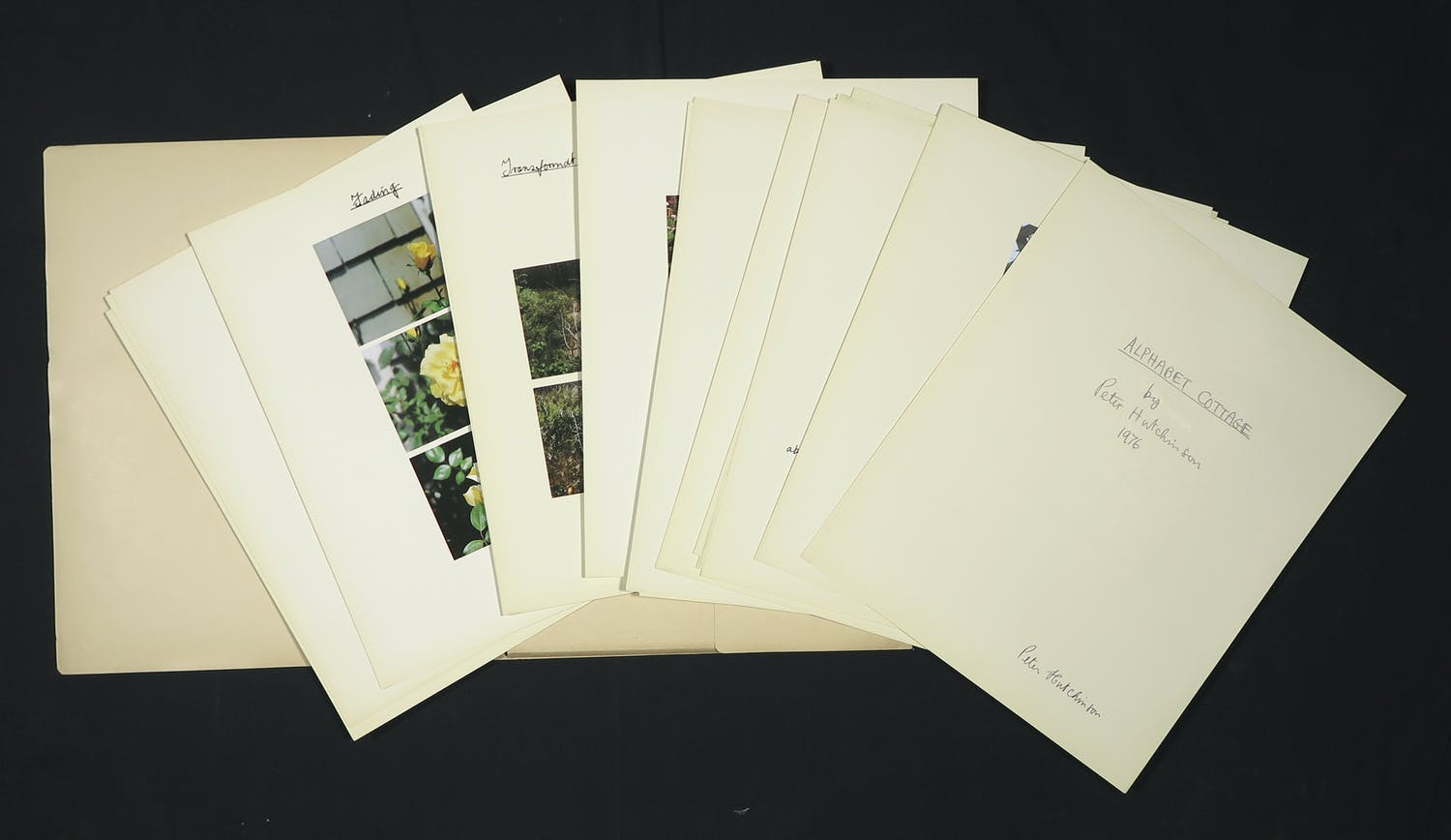 Peter Hutchinson (1930)