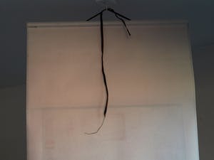 Niet of onleesbaar gesigneerd - Japanse of Chinese scroll, “Vogel op tak” - Aquarelverf en inkt op papier kopen? Bied vanaf 1!