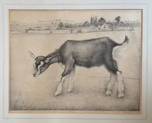 Jan Wittenberg - Geitje kopen? Bied vanaf 75!