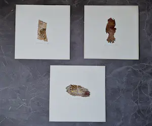 Yoka Voorbach - DRIE abstracte handgekleurde reliëf etsen - zeer kleine oplage (25) kopen? Bied vanaf 48!