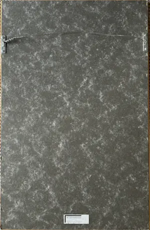 Flip van der Burgt - onbekend | ("... negro") kopen? Bied vanaf 50!