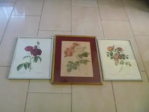Pierre-Joseph Redoute - Drie ingelijste litho's Rozen kopen? Bied vanaf 26!