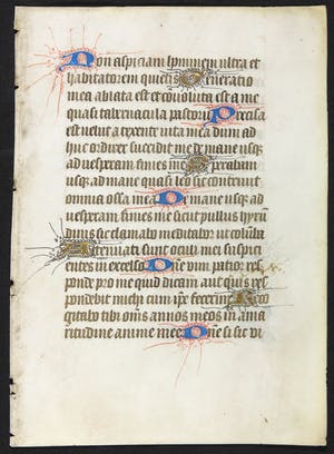 Curiosa - Pagina uit het getijdenboek Heures à l'usage de St. Omer kopen? Bied vanaf 80!