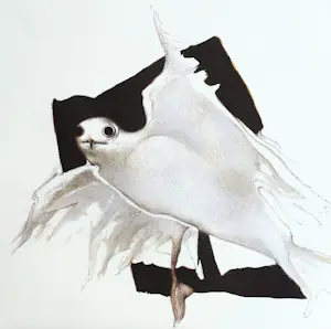 Octave Landuyt - Möwe – Seltener signierter und nummerierter Druck kopen? Bied vanaf 150!