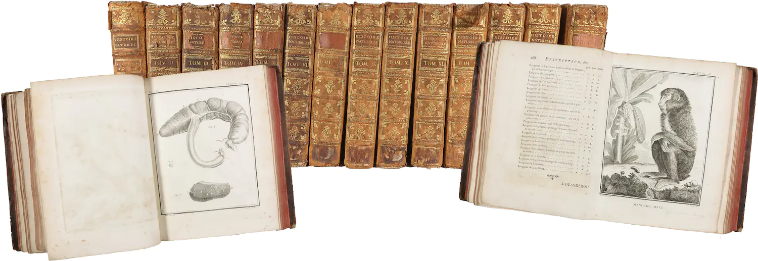 Georges-Louis Leclerc de Buffon (1707-1788)