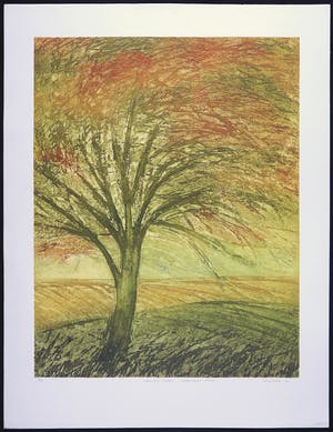 Henk Kastelijn - Kleurenets, Boek der stormen - Paddestoelen zoeken kopen? Bied vanaf 1!