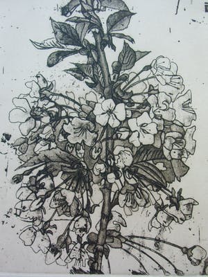 Jan Prins - BLOESEMTAK kopen? Bied vanaf 30!