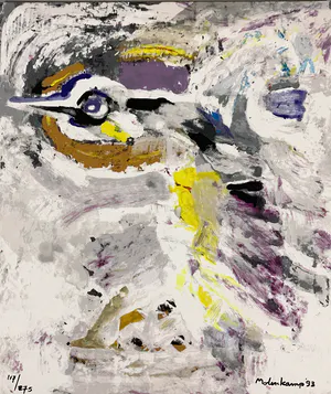 Nico Molenkamp - Vogel kopen? Bied vanaf 38!