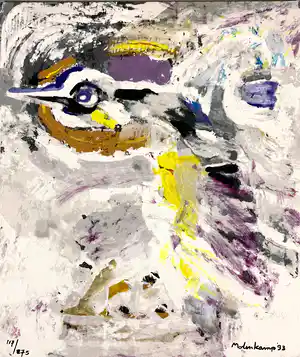 Nico Molenkamp - Vogel verkocht voor € 38!