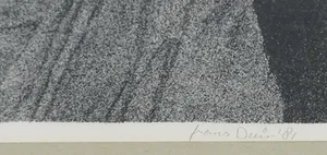 Frans Duin - Litho, Open raam - Ingelijst kopen? Bied vanaf 1!