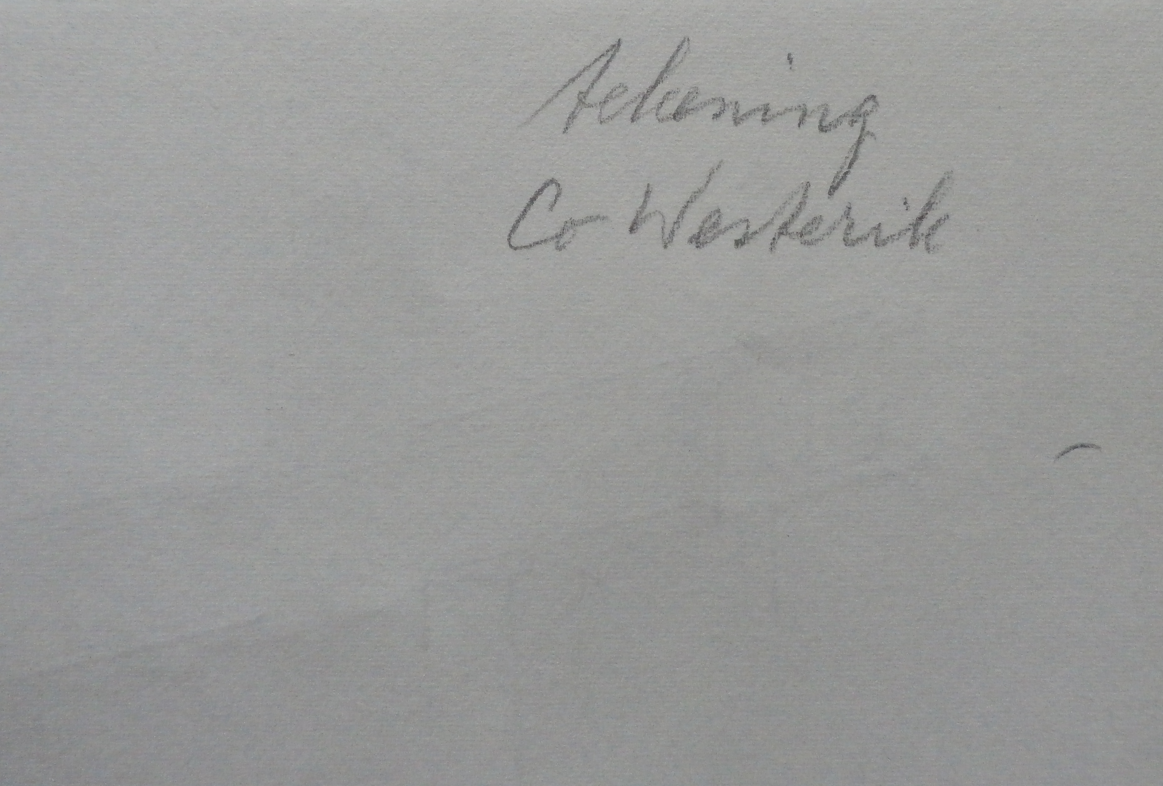 Co Westerik -  gemengde techniek: druktechniek kopen? Bied vanaf 150!