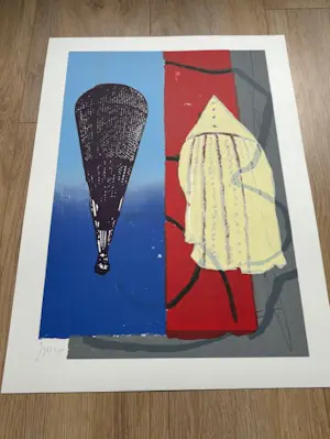 Luuk de Weert - Luchtballon kopen? Bied vanaf 15!