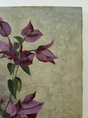 Jan Coenraad Nachenius - Bloemen. Bougainville. Stilleven. Monogram. kopen? Bied vanaf 249!