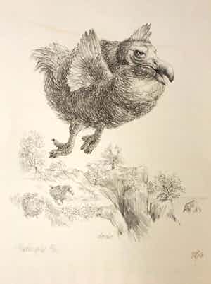 Peter Vos - Dodo; een uitgestorven vogel verkocht voor € 10!
