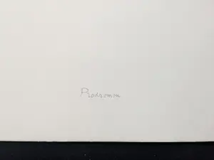 Dolf van Leggelo - Prodromon E.A. kopen? Bied vanaf 20!