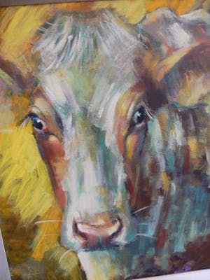 Theo Onnes - Roodbonte koe kopen? Bied vanaf 550!